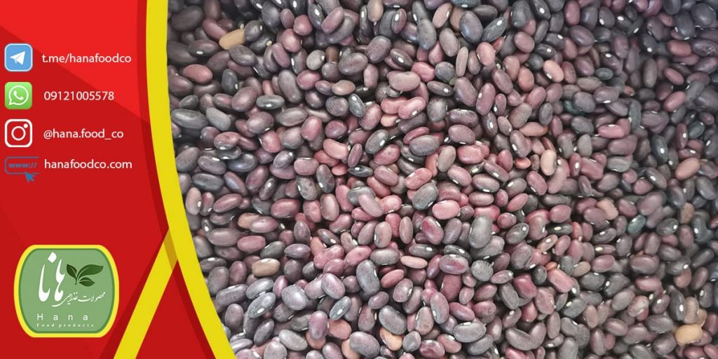 خرید لوبیا قرمز اتیوپی از کدام مراکز انجام می شود؟ | شرکت هانا فود